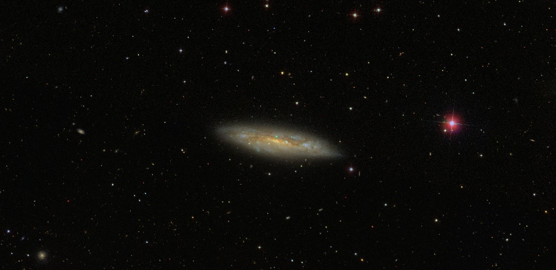 NGC 3556