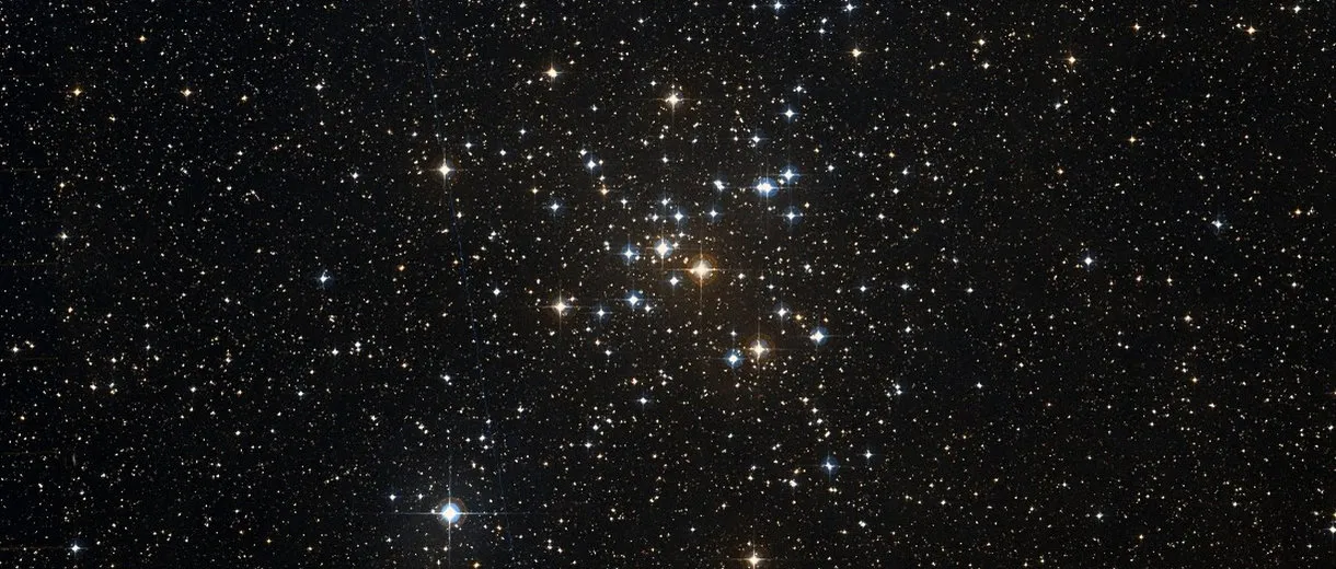 M 41