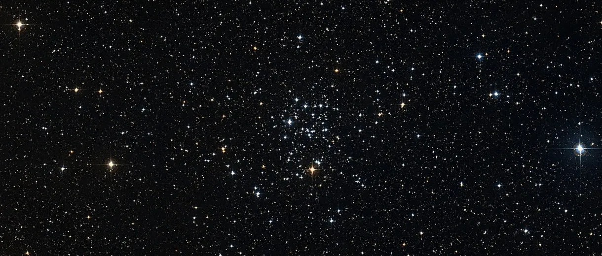 M 50