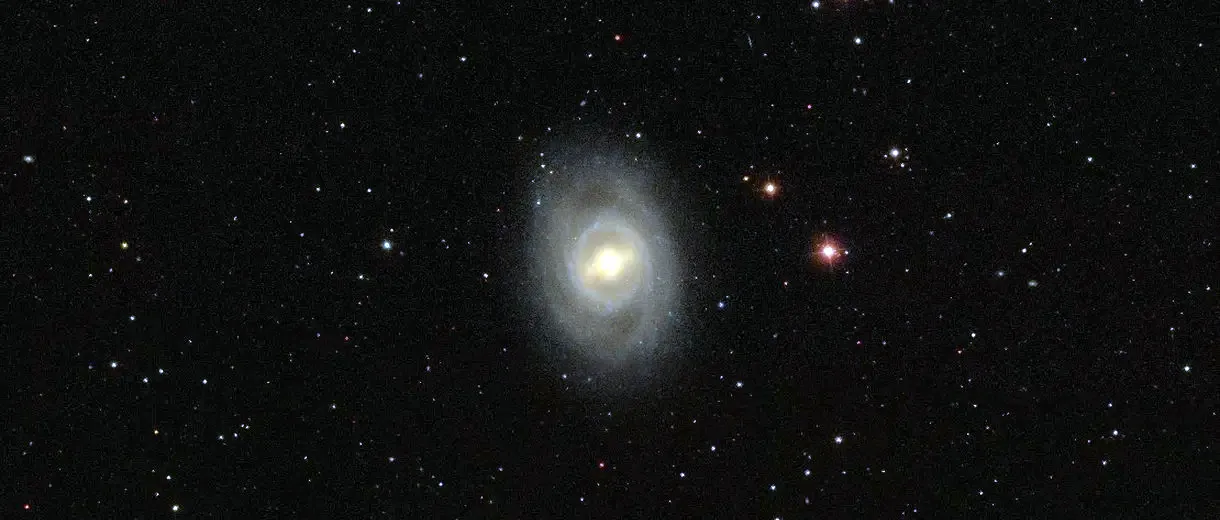 M 95