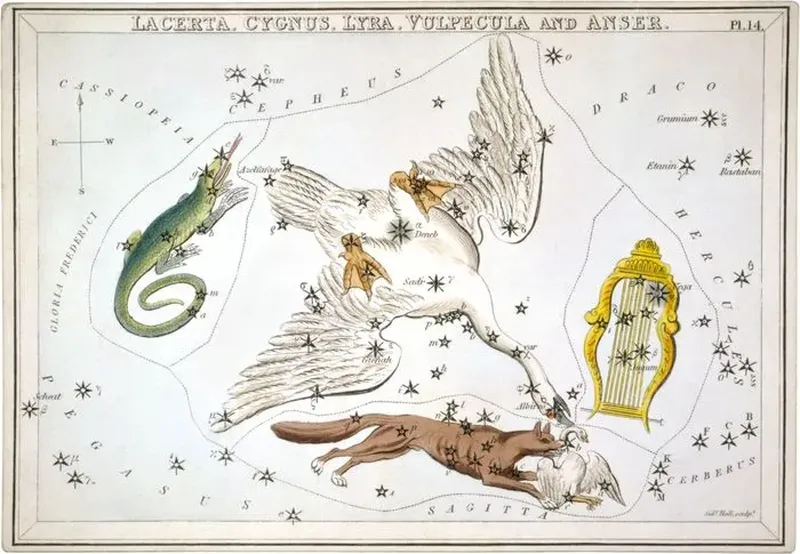Constellation de l'Oie
